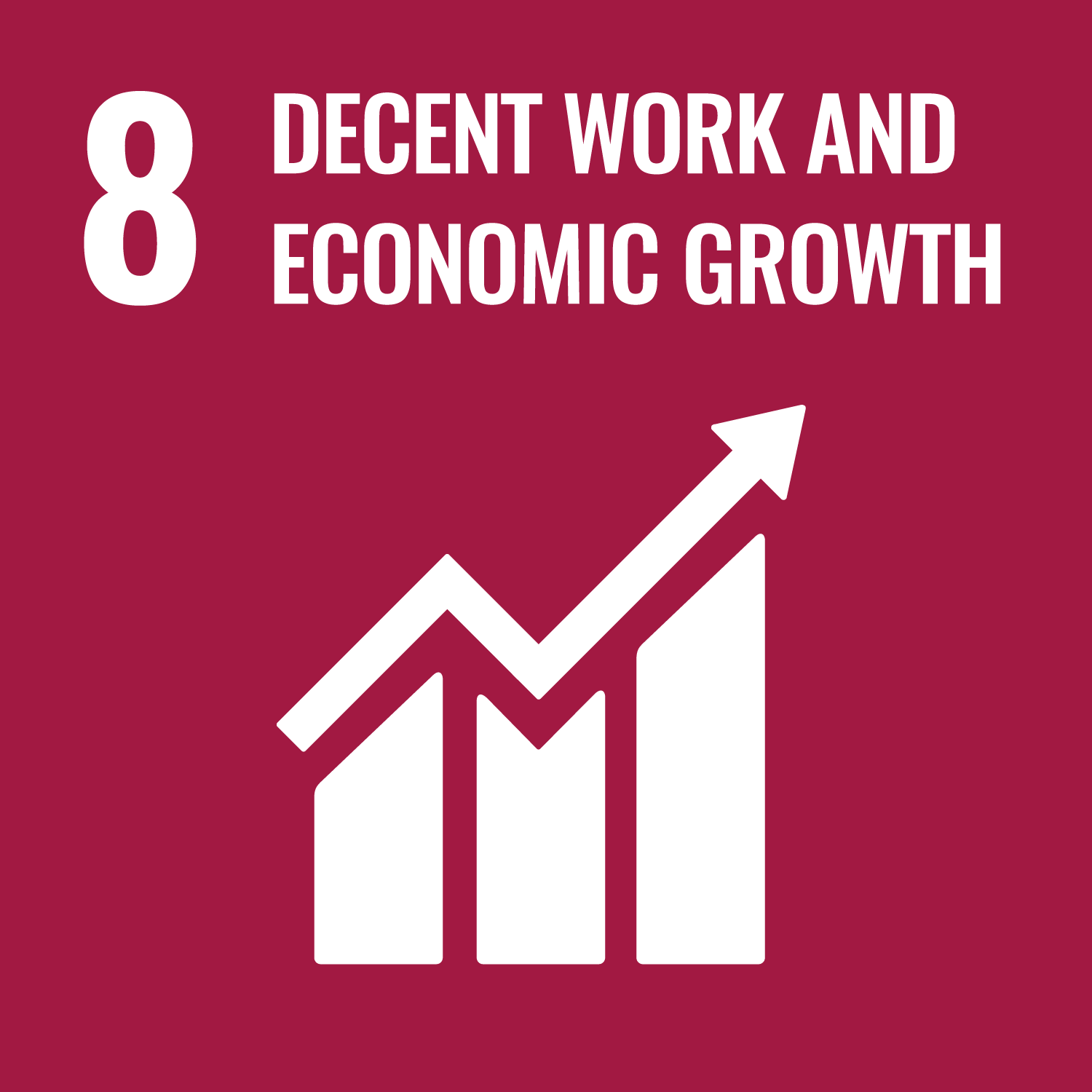 VN-duurzaamheidsdoel 8: menswaardige arbeid en economische groei