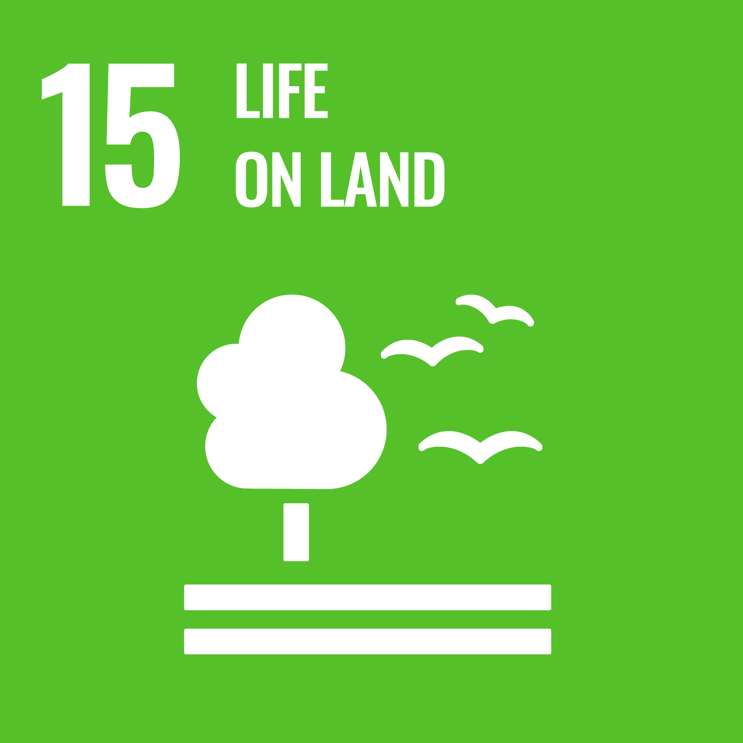 VN-duurzaamheidsdoel 15: leven op het land